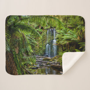 Forests Beauchamp Falls Australia Sherpa Blanket