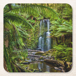 Forests Beauchamp Falls Australia Square Paper Coaster
