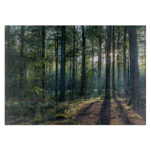 Forests   Black Forest Germany Cutting Board