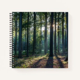 Forests Black Forest Germany Notebook