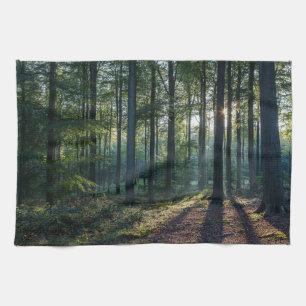 Forests Black Forest Germany Tea Towel
