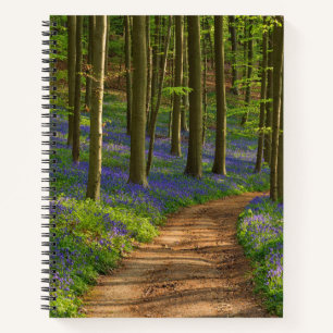 Forests Bluebell Forest in Belgium Notebook