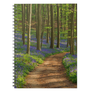 Forests Bluebell Forest in Belgium Notebook