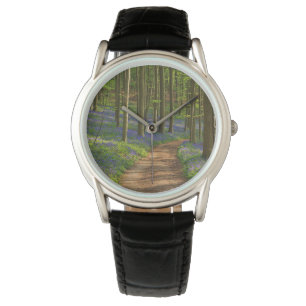Forests   Bluebell Forest in Belgium Watch