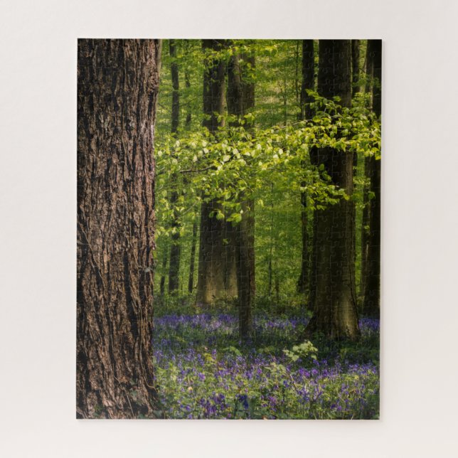 Forests | Bluebells in Belgium Jigsaw Puzzle (Vertical)