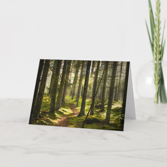 Forests | Boreal Forest Sweden Card (Front)