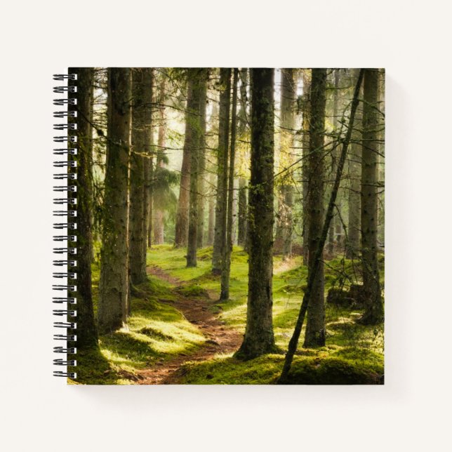 Forests | Boreal Forest Sweden Notebook (Front)
