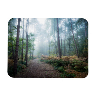 Forests Dark Foggy Woods Norfolk UK Magnet
