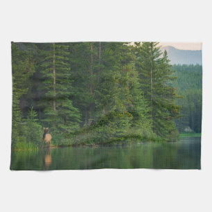Forests Elk at Banff National Park Alberta Tea Towel