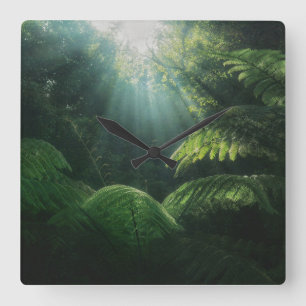 Forests   Ferns in Rainforest Square Wall Clock
