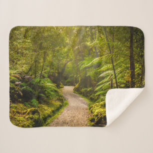 Forests Footpath Into Forest Sherpa Blanket