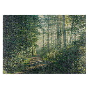 Forests   Forest Path Hamburg Germany Cutting Board