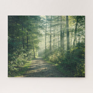 Forests   Forest Path Hamburg Germany Jigsaw Puzzle