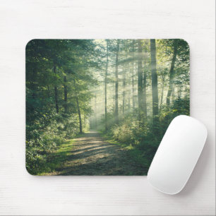Forests Forest Path Hamburg Germany Mouse Pad