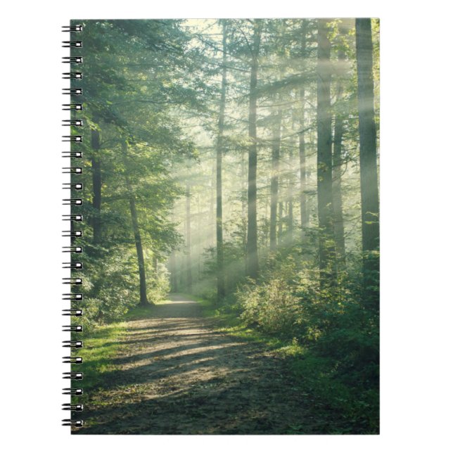 Forests | Forest Path Hamburg Germany Notebook (Front)