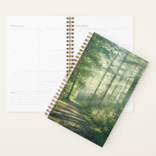 Forests   Forest Path Hamburg Germany Planner