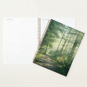 Forests   Forest Path Hamburg Germany Planner