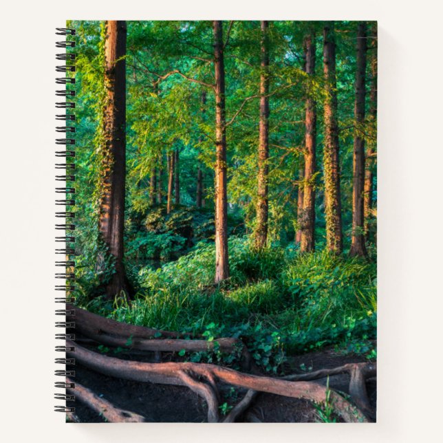 Forests | Greenery & Woodland Notebook (Front)