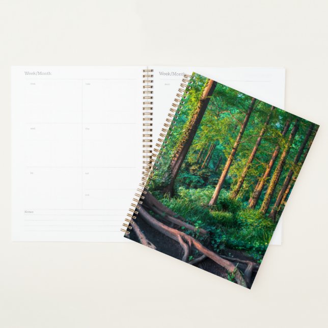 Forests | Greenery & Woodland Planner (Display)
