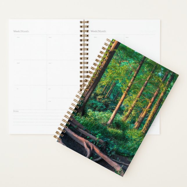 Forests | Greenery & Woodland Planner (Display)