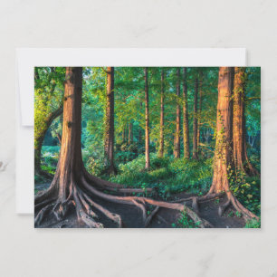 Forests   Greenery & Woodland Thank You Card