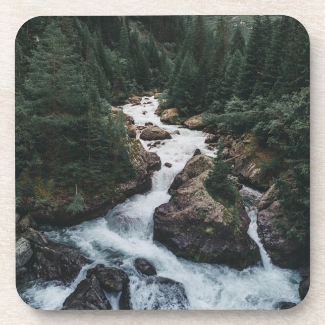 Forests | Grison Graubunden Canton Coaster (Front)