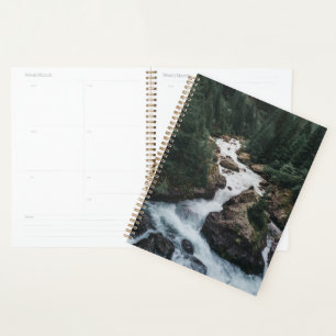 Forests   Grison Graubunden Canton Planner