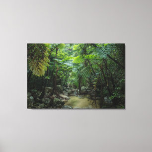 Forests   Iriomote Ishigaki National Park Canvas Print