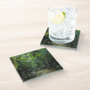 Forests Iriomote Ishigaki National Park Glass Coaster