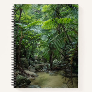 Forests Iriomote Ishigaki National Park Notebook