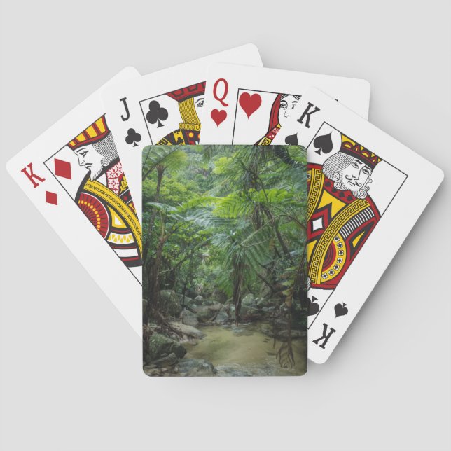 Forests | Iriomote Ishigaki National Park Playing Cards (Back)