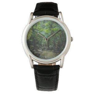 Forests   Iriomote Ishigaki National Park Watch