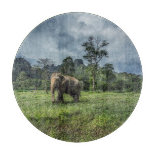 Forests Kao Sok National Park Cutting Board