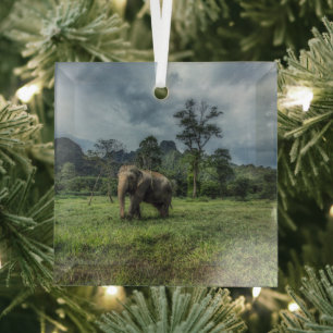 Forests   Kao Sok National Park Glass Tree Decoration