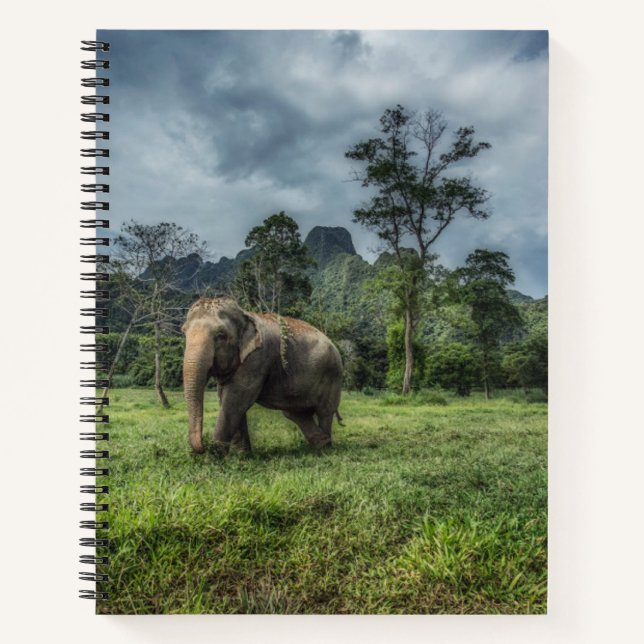Forests | Kao Sok National Park Notebook (Front)
