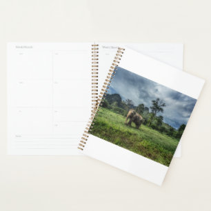 Forests Kao Sok National Park Planner