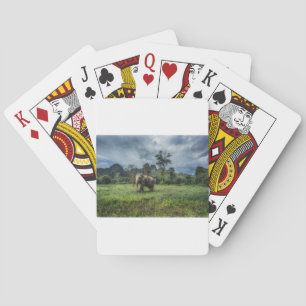 Forests   Kao Sok National Park Playing Cards