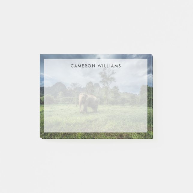 Forests | Kao Sok National Park Post-it Notes (Front)