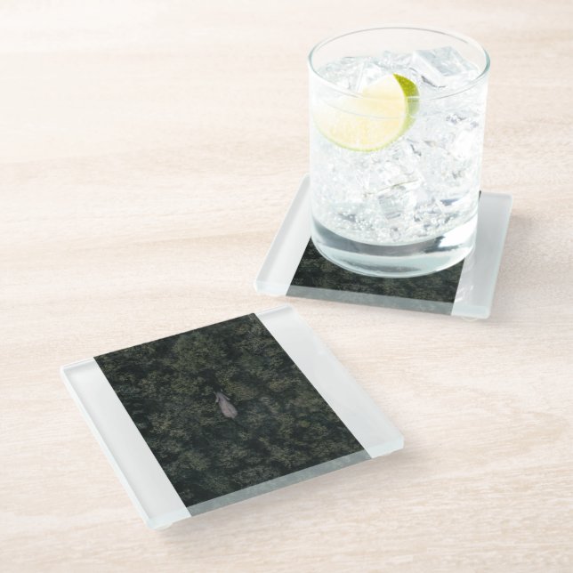 Forests | Lalibela Game Reserve Glass Coaster (Angled)
