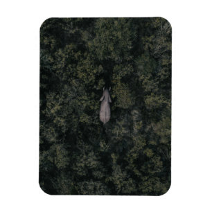 Forests Lalibela Game Reserve Magnet