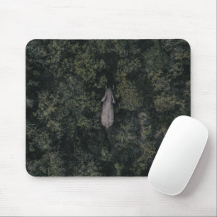 Forests   Lalibela Game Reserve Mouse Pad