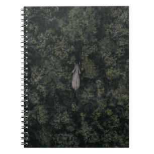 Forests   Lalibela Game Reserve Notebook