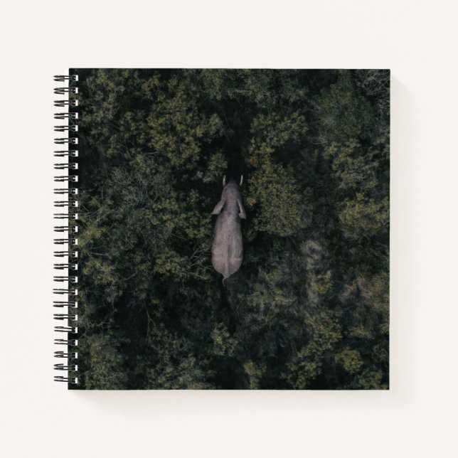 Forests | Lalibela Game Reserve Notebook (Front)