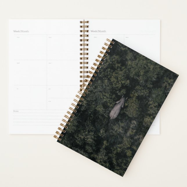 Forests | Lalibela Game Reserve Planner (Display)