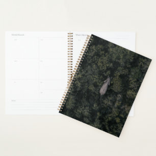 Forests Lalibela Game Reserve Planner