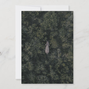 Forests   Lalibela Game Reserve Thank You Card