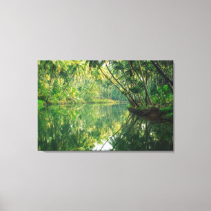 Forests Mangrove Forest Canvas Print