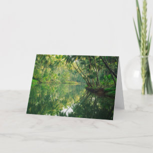 Forests   Mangrove Forest Card