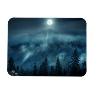 Forests   Moonlit Forest Magnet