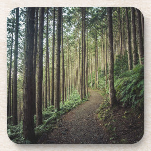 Forests Mountains of Wakayama Japan Coaster